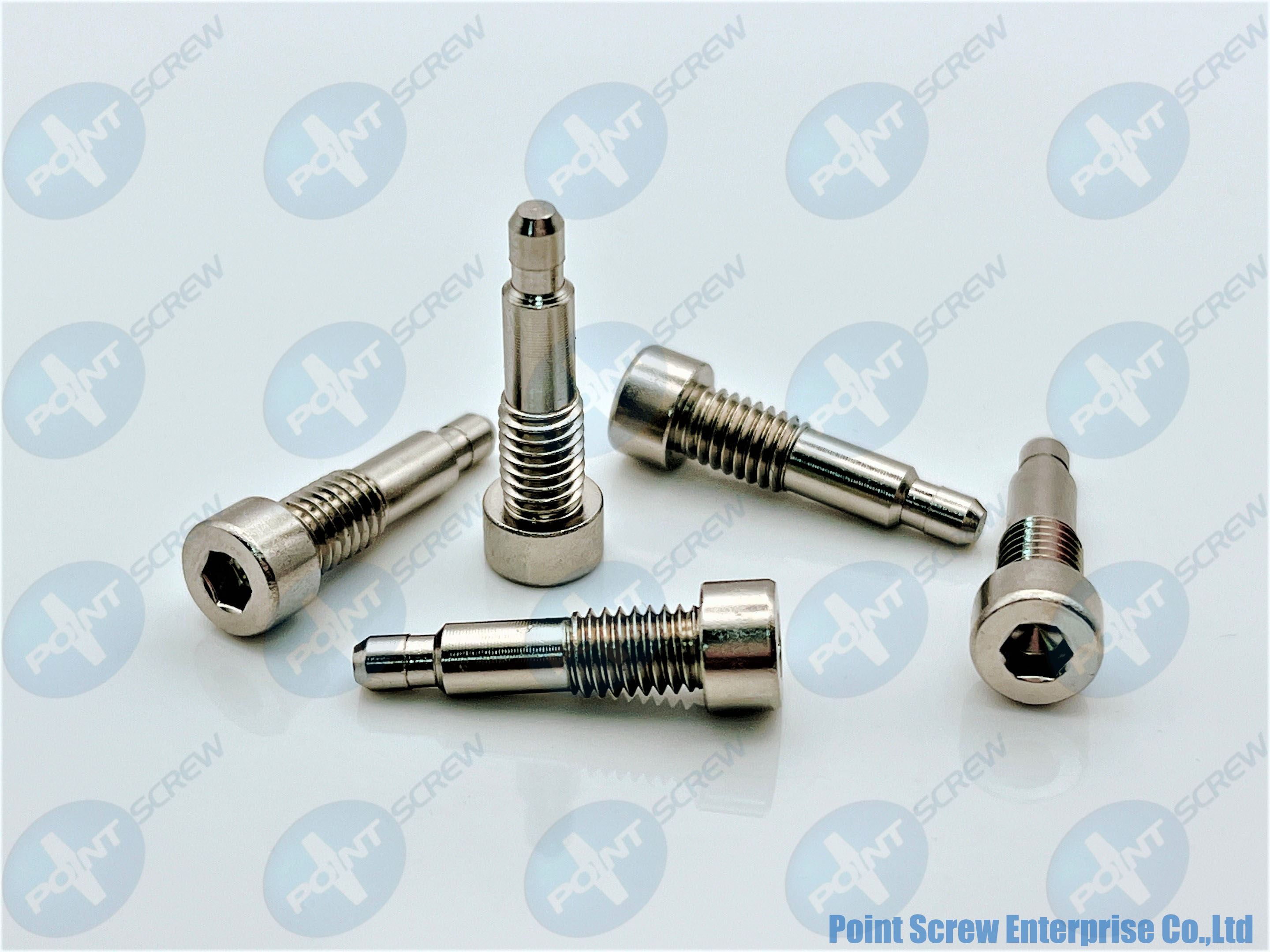 Hex Socket Cap Head Special Screw